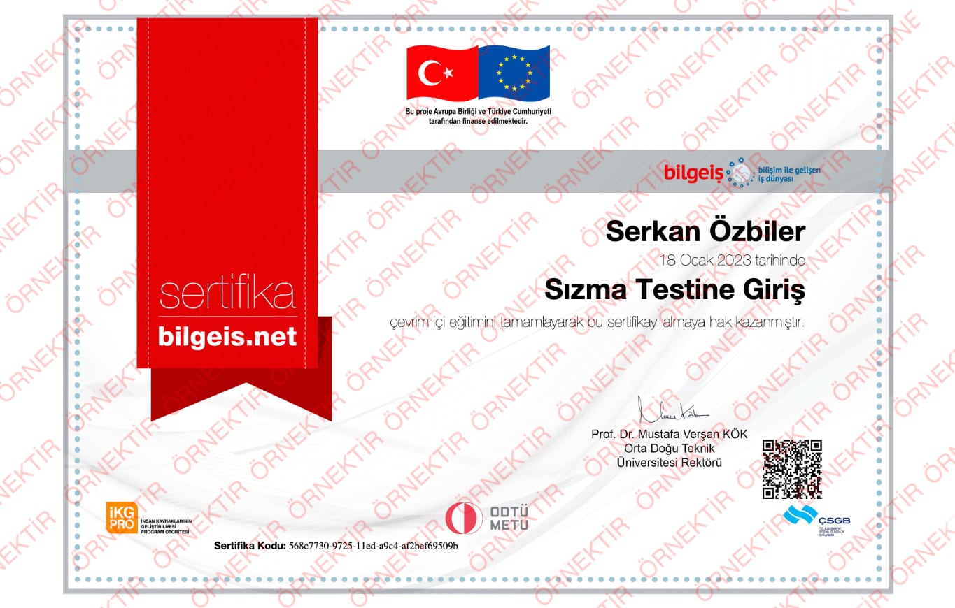 Sızma Testi Giriş